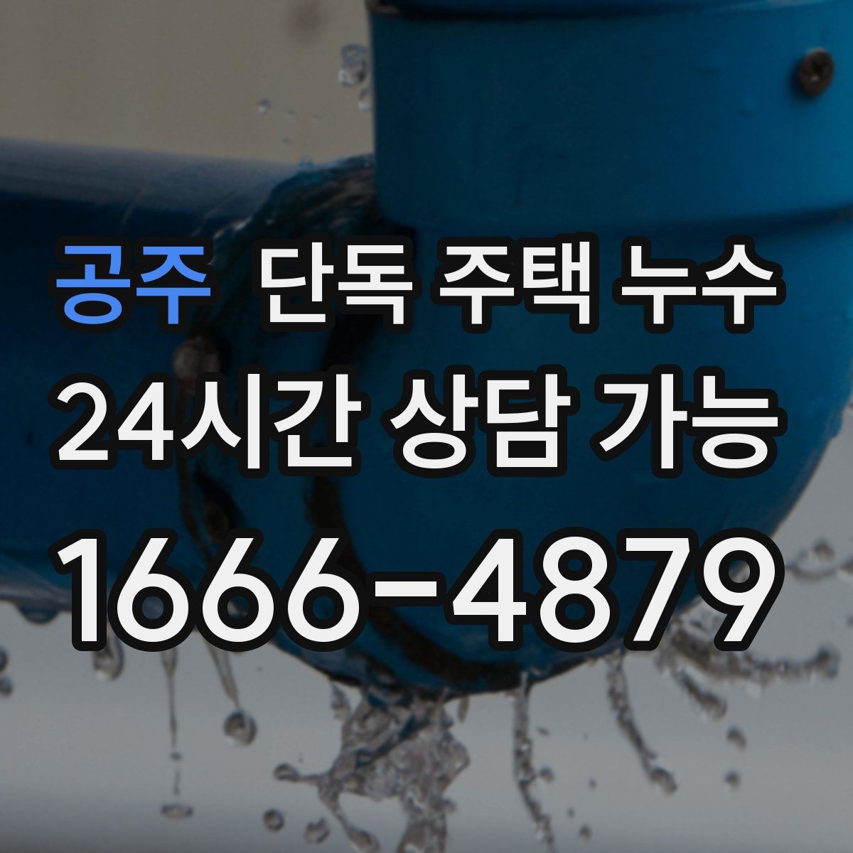 공주 단독 주택 누수 바닥과 벽 경계가 젖는 경우 의심 포인트