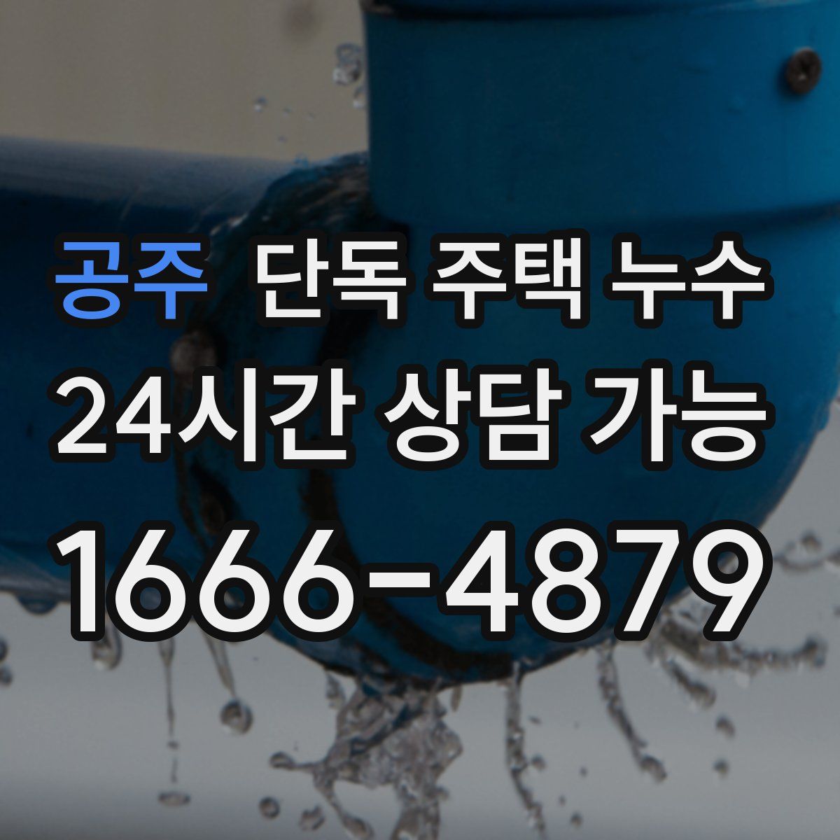 공주 단독 주택 누수