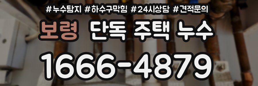 보령 단독 주택 누수