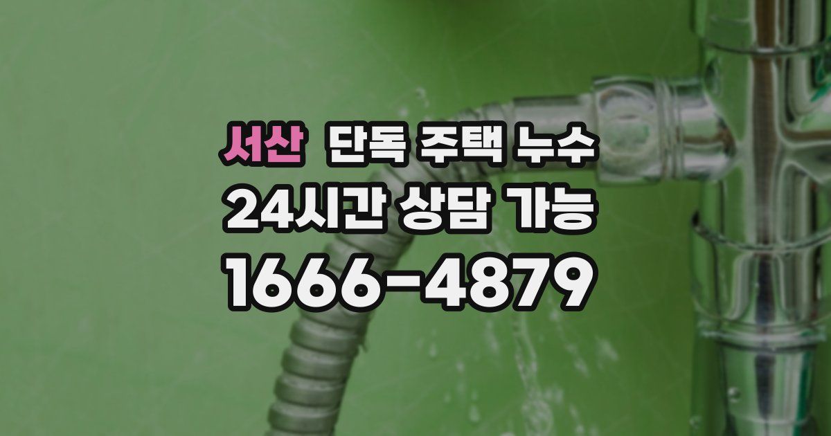 서산 단독 주택 누수