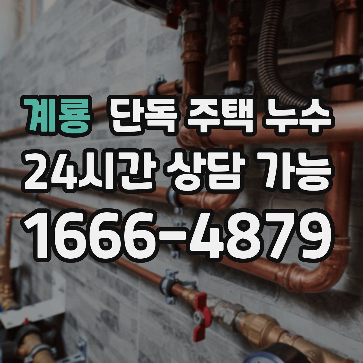 계룡 단독 주택 누수 세탁기 급수호스 연결부 누수 점검