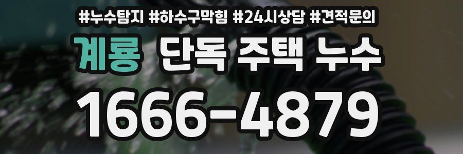 계룡 단독 주택 누수