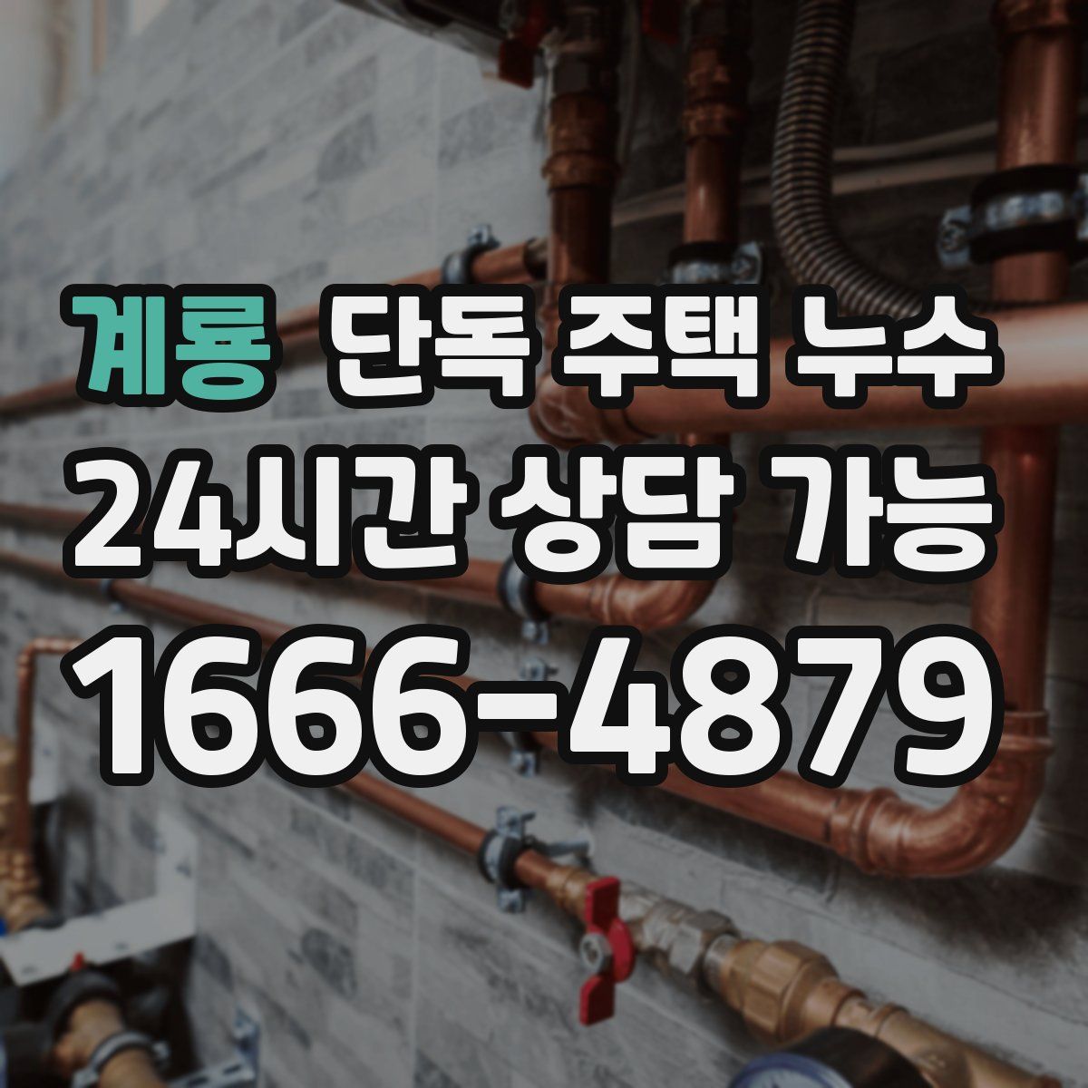 계룡 단독 주택 누수