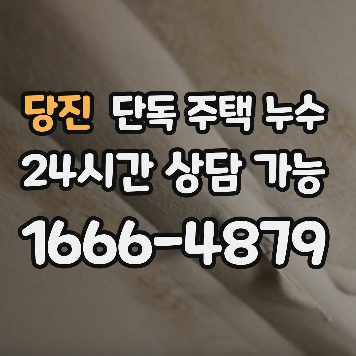 당진 단독 주택 누수 욕실 바닥 경사 불량이 의심되는 증상