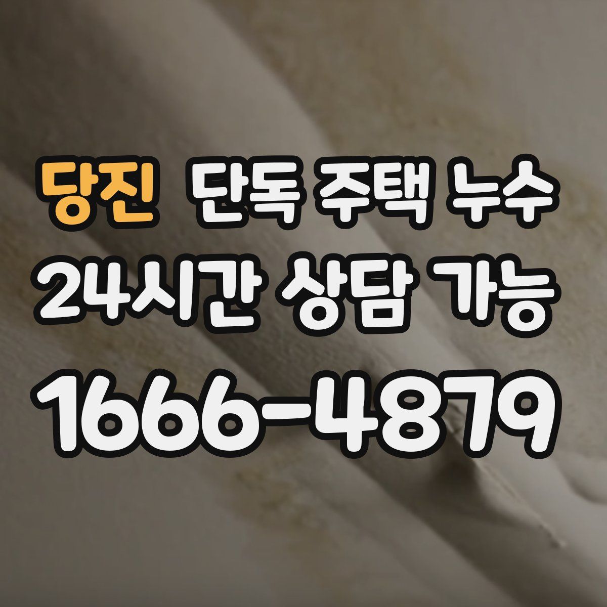 당진 단독 주택 누수