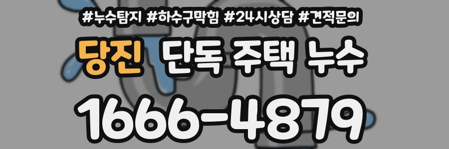 당진 단독 주택 누수