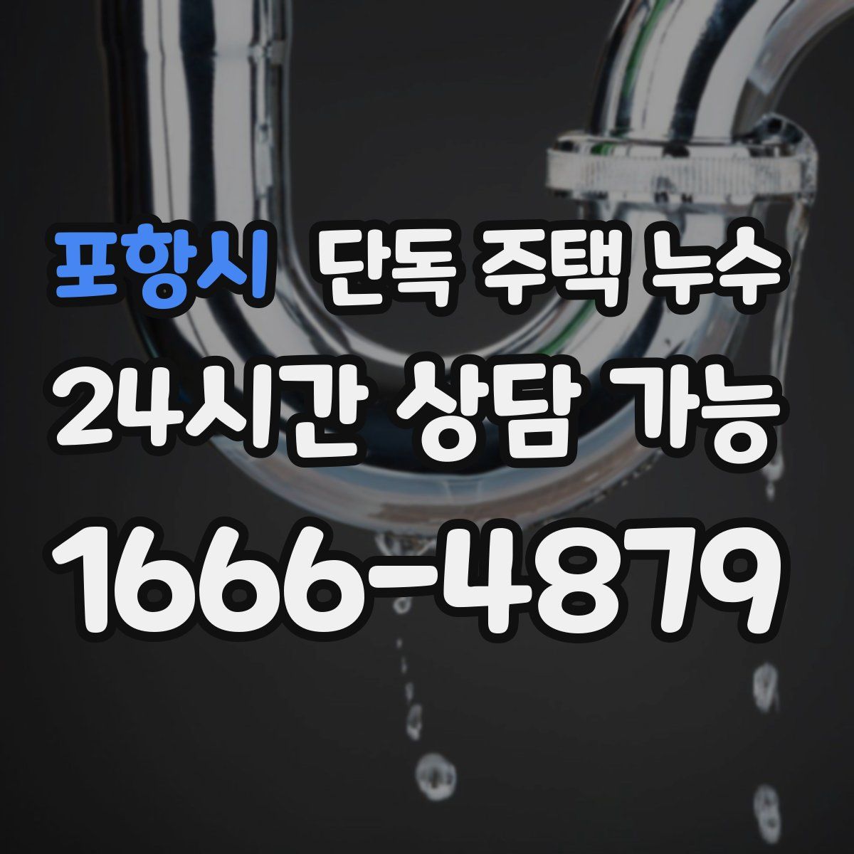 포항시 단독 주택 누수