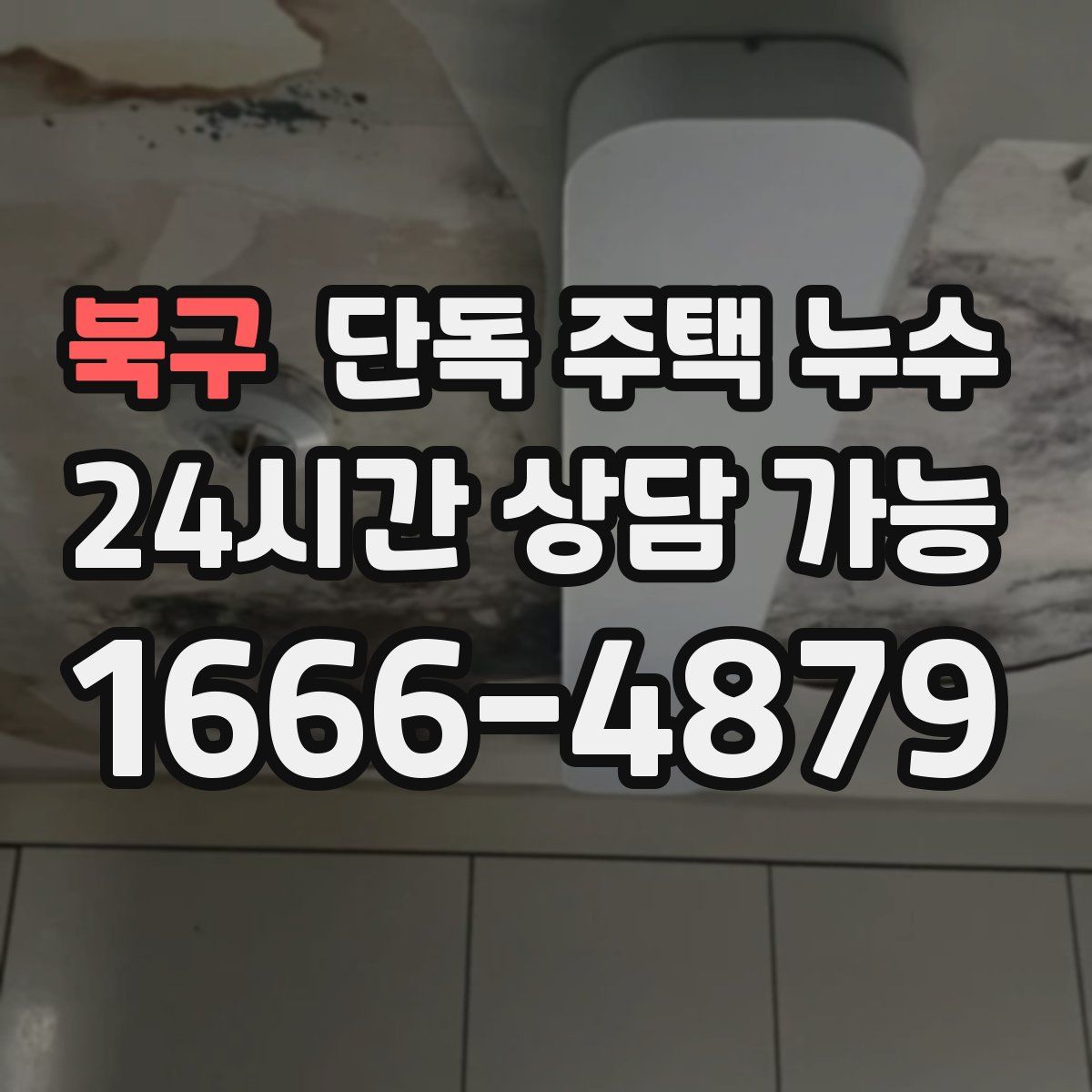 북구 단독 주택 누수