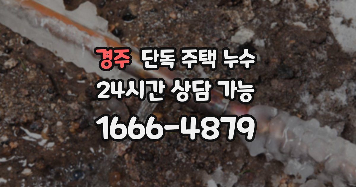 경주 단독 주택 누수