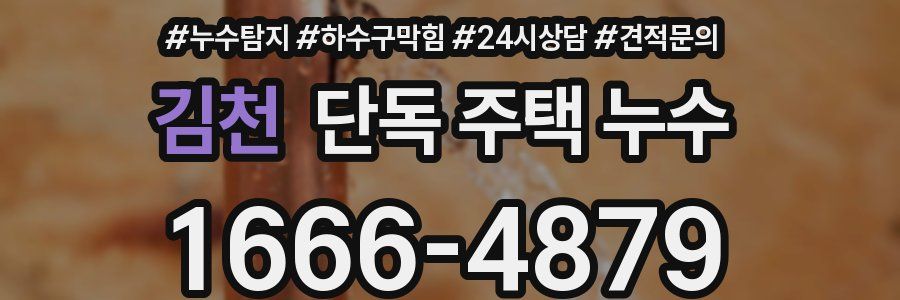 김천 단독 주택 누수