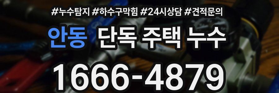 안동 단독 주택 누수