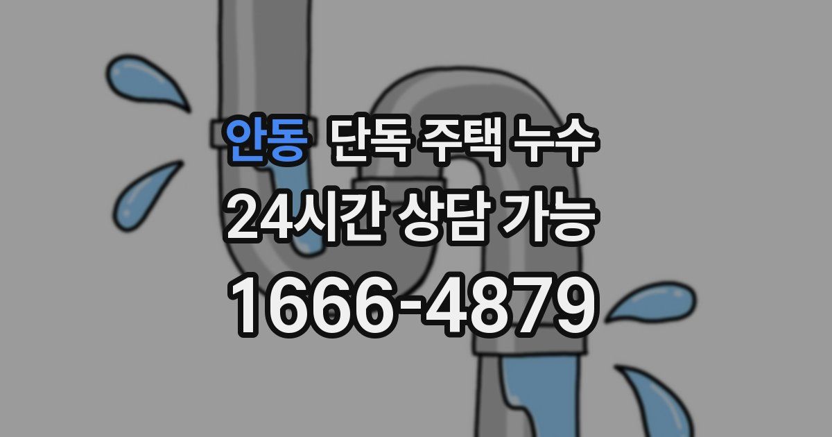 안동 단독 주택 누수