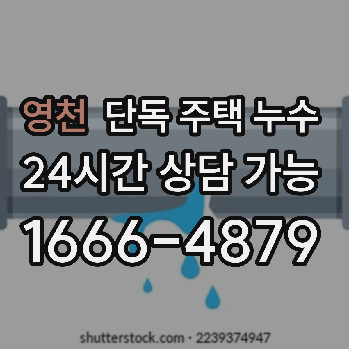 영천 단독 주택 누수