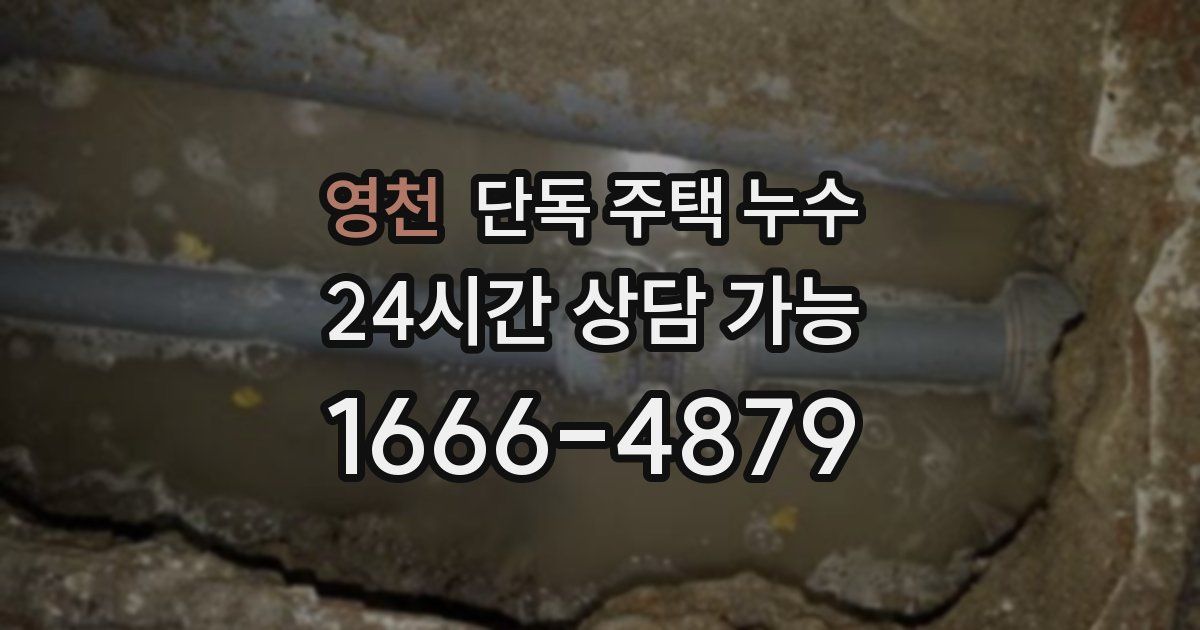 영천 단독 주택 누수