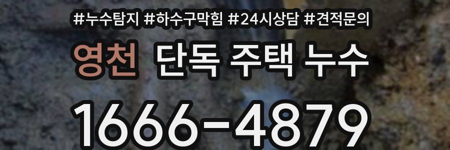영천 단독 주택 누수