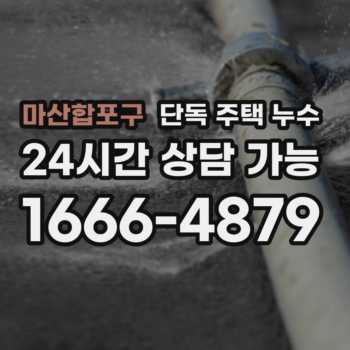 마산합포구 단독 주택 누수