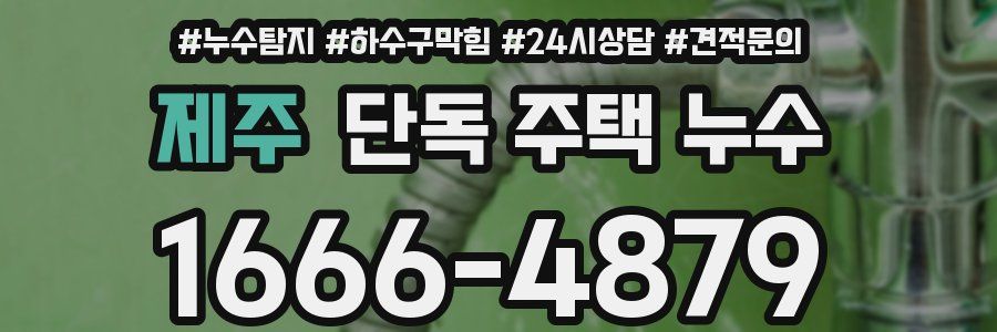 제주 단독 주택 누수