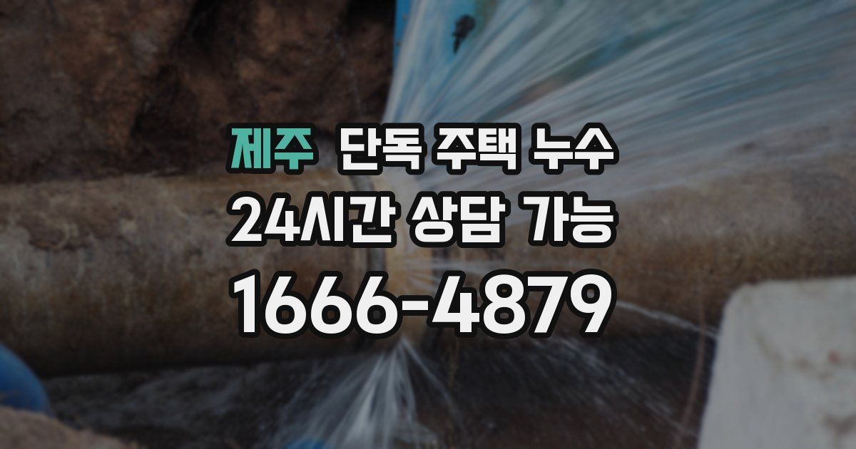 제주 단독 주택 누수