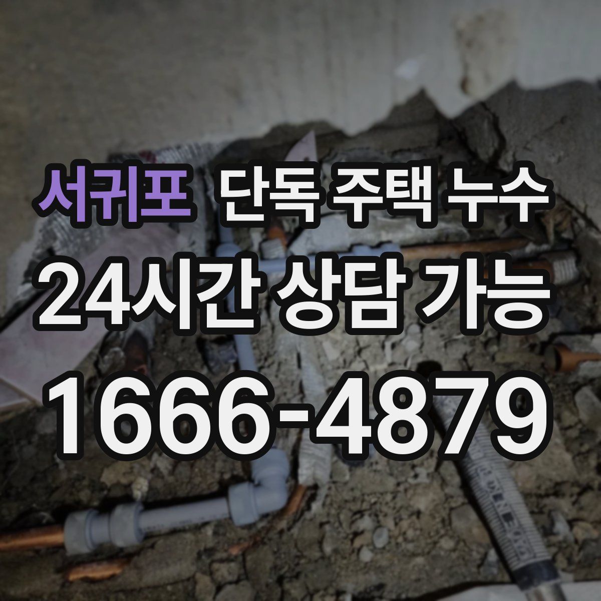 서귀포 단독 주택 누수