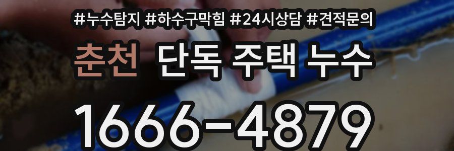 춘천 단독 주택 누수