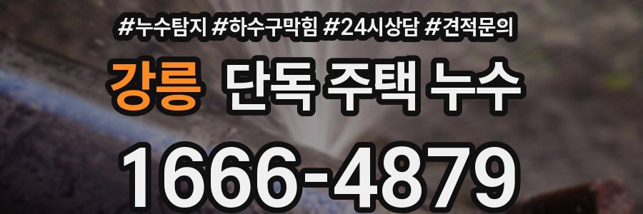 강릉 단독 주택 누수