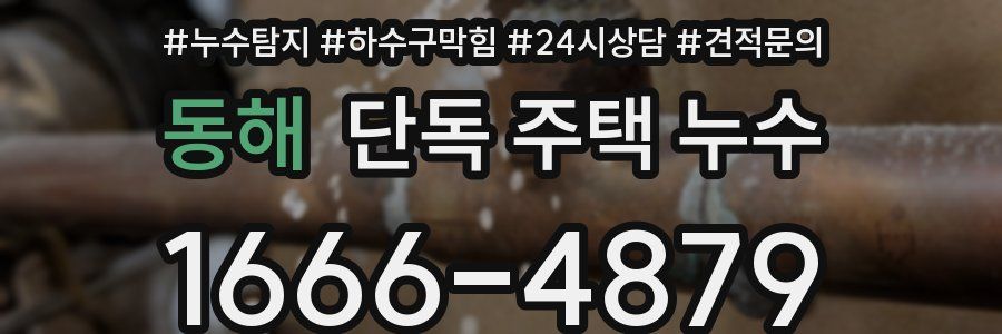 동해 단독 주택 누수