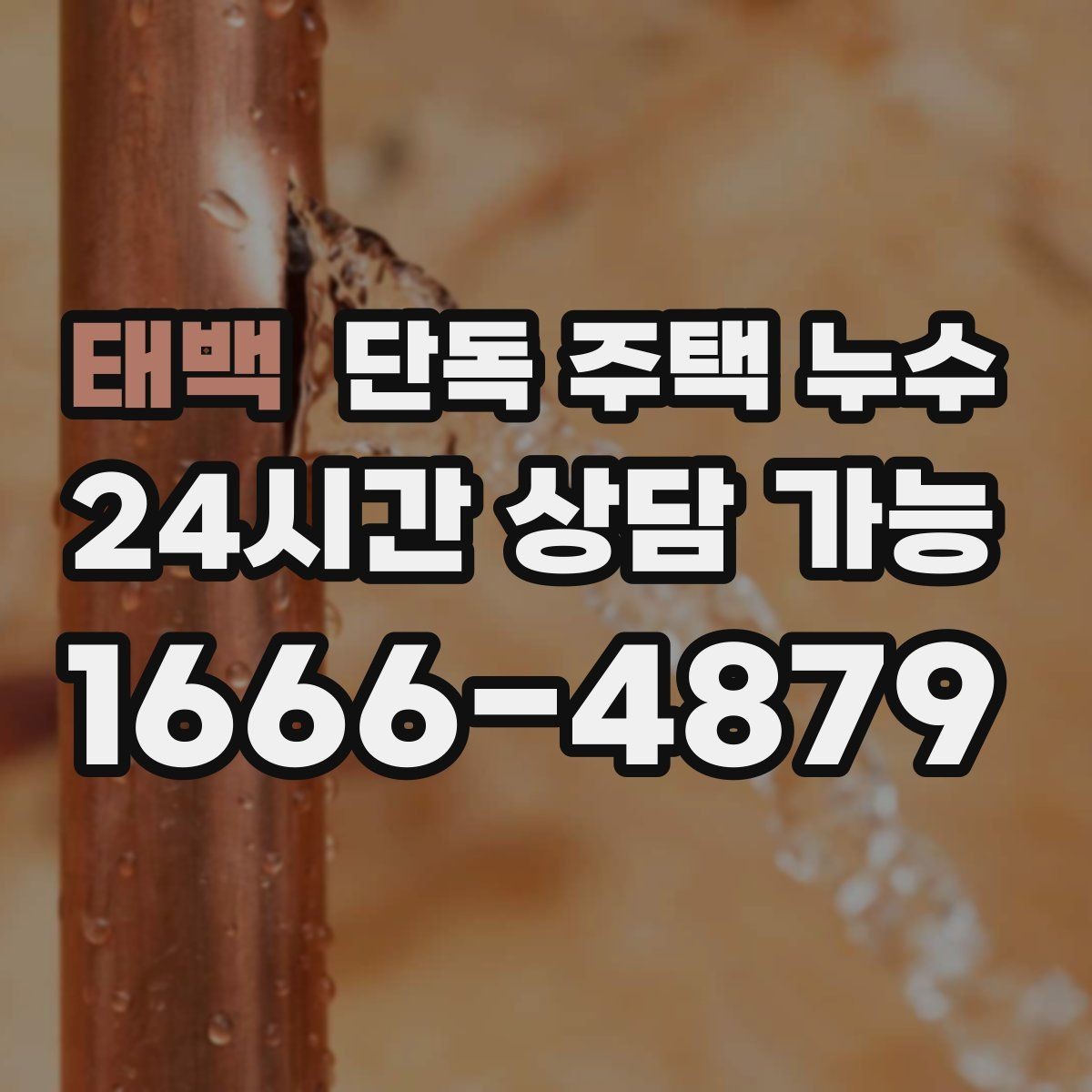 태백 단독 주택 누수 굴뚝·배기구 주변 실링이 약해졌을 때