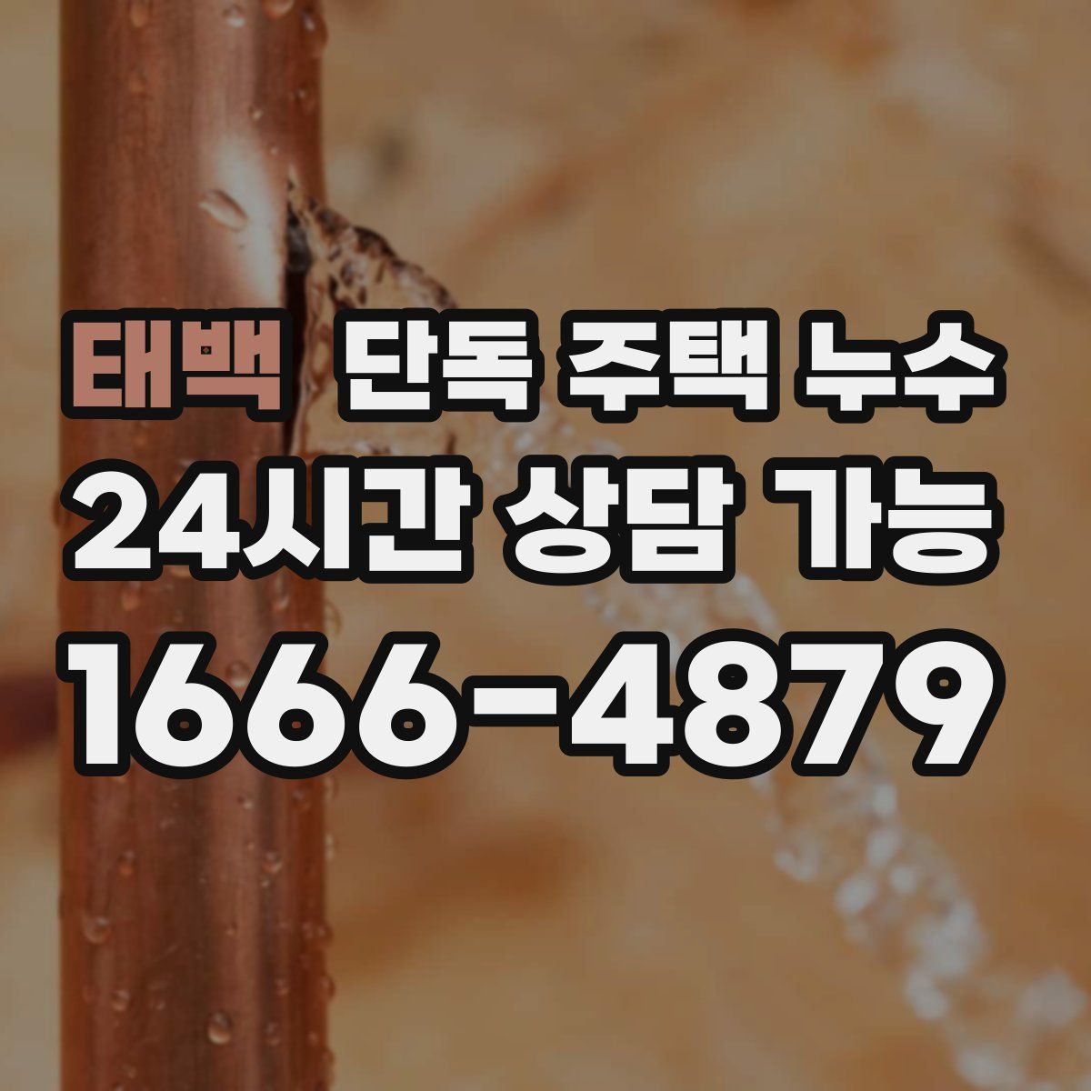 태백 단독 주택 누수