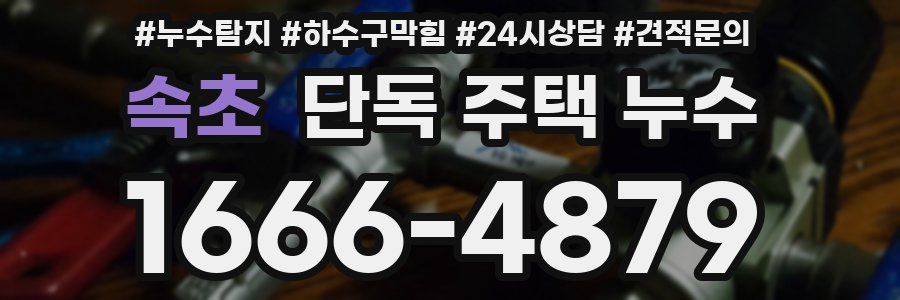 속초 단독 주택 누수