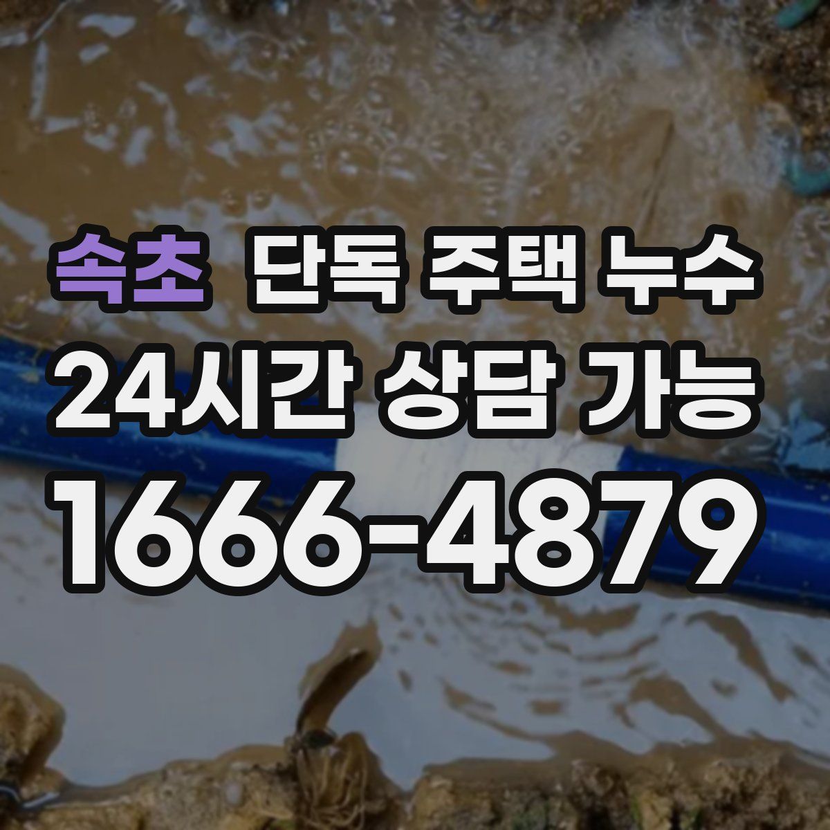 속초 단독 주택 누수