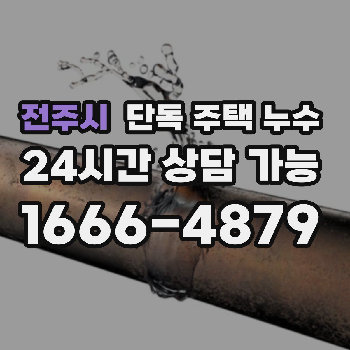 전주시 단독 주택 누수
