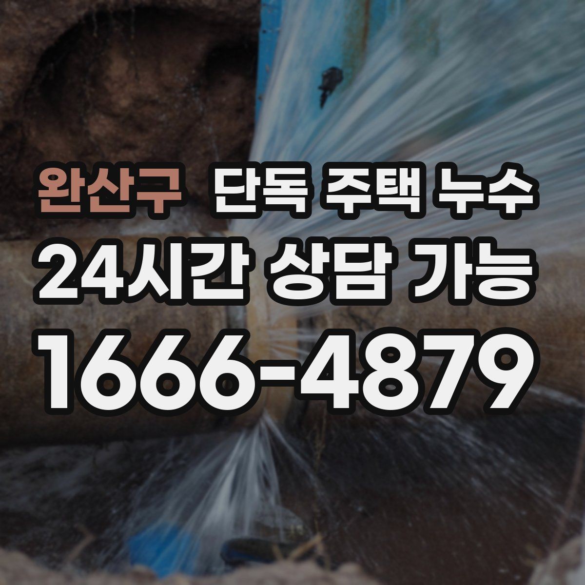 완산구 단독 주택 누수 홈통 막힘을 예방하는 간단한 관리법