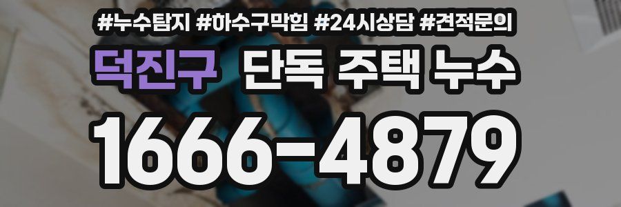 덕진구 단독 주택 누수