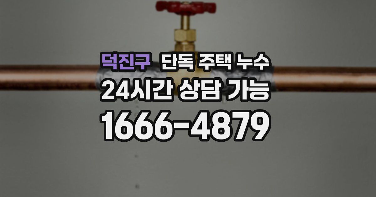 덕진구 단독 주택 누수