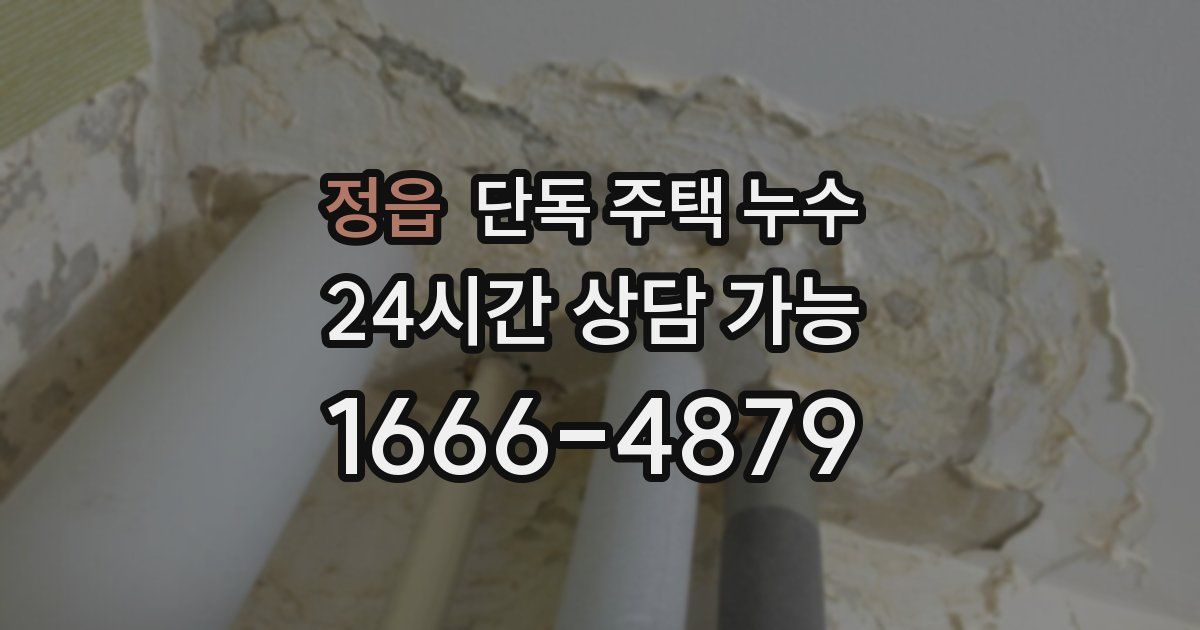 정읍 단독 주택 누수