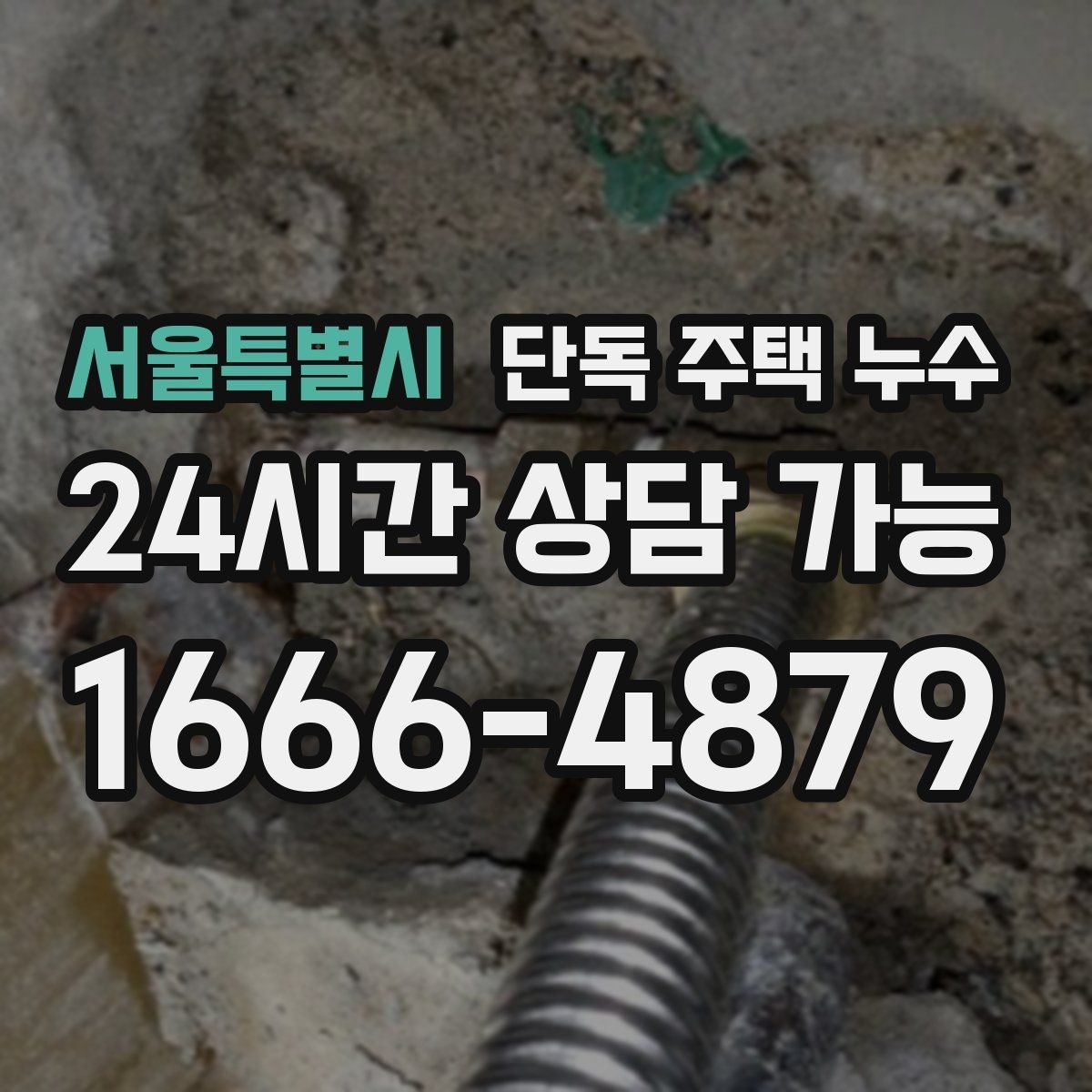 서울특별시 단독 주택 누수 보일러 배관 연결부가 젖는 경우