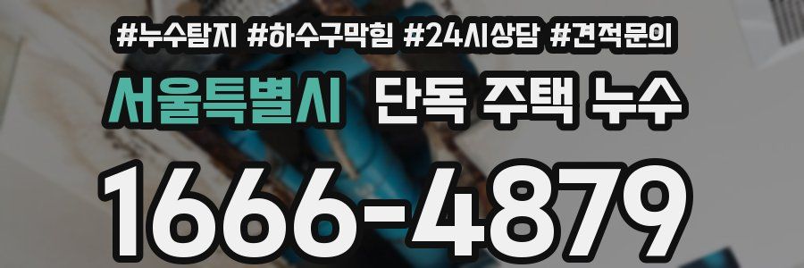서울특별시 단독 주택 누수