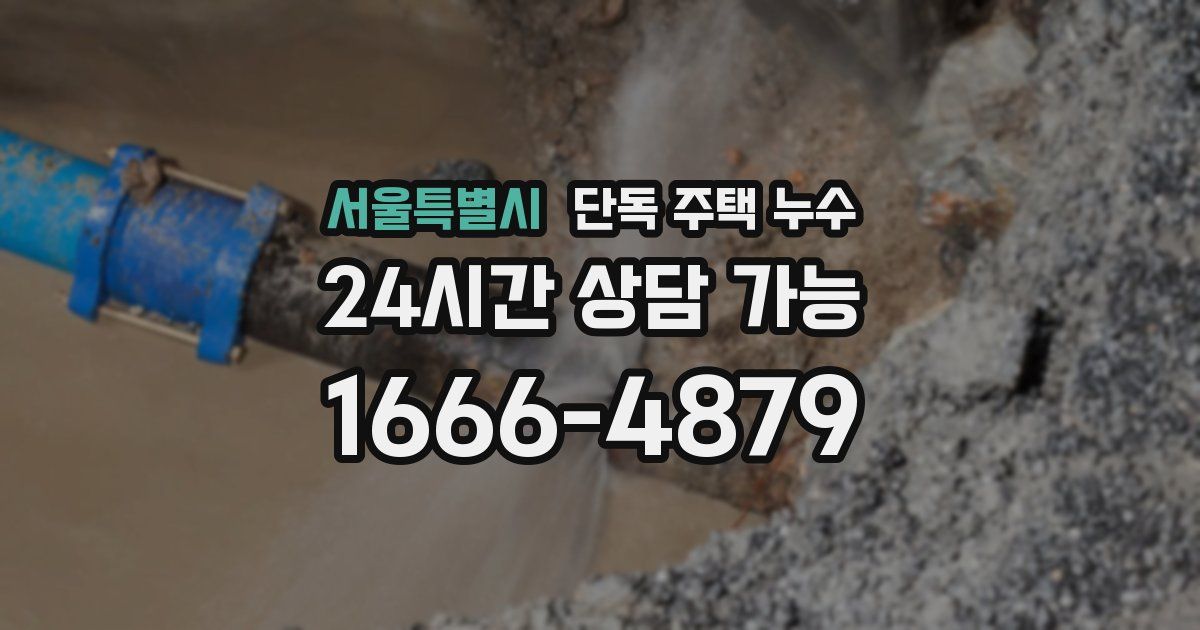 서울특별시 단독 주택 누수