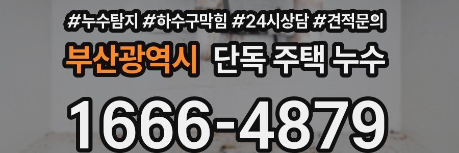 부산광역시 단독 주택 누수
