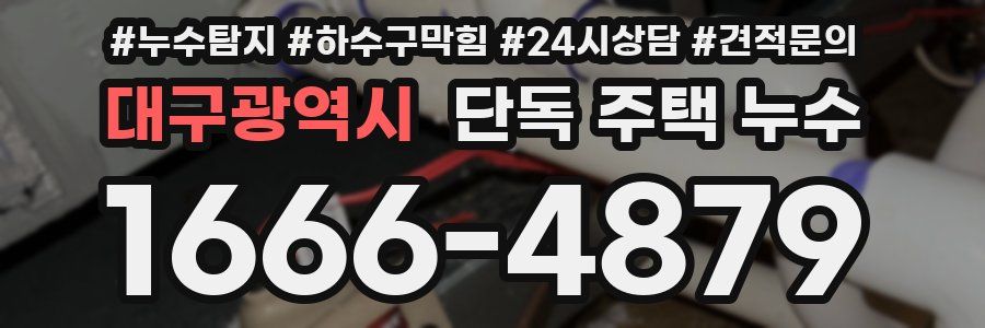 대구광역시 단독 주택 누수