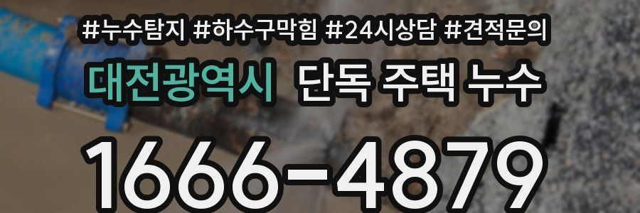 대전광역시 단독 주택 누수
