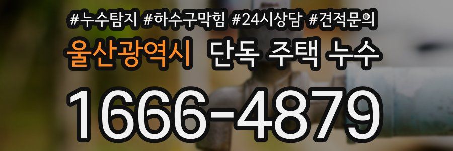 울산광역시 단독 주택 누수