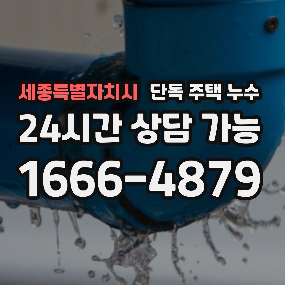세종특별자치시 단독 주택 누수 원인별로 달라지는 물자국 패턴 정리