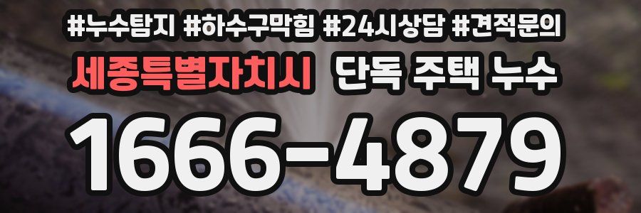 세종특별자치시 단독 주택 누수