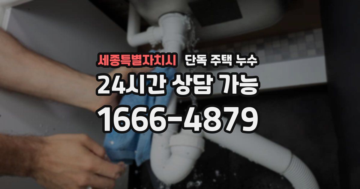 세종특별자치시 단독 주택 누수