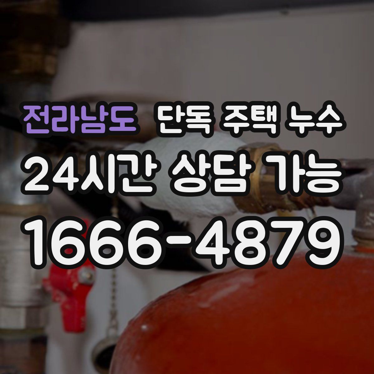 전라남도 단독 주택 누수