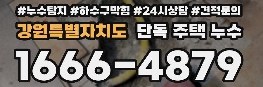 강원특별자치도 단독 주택 누수