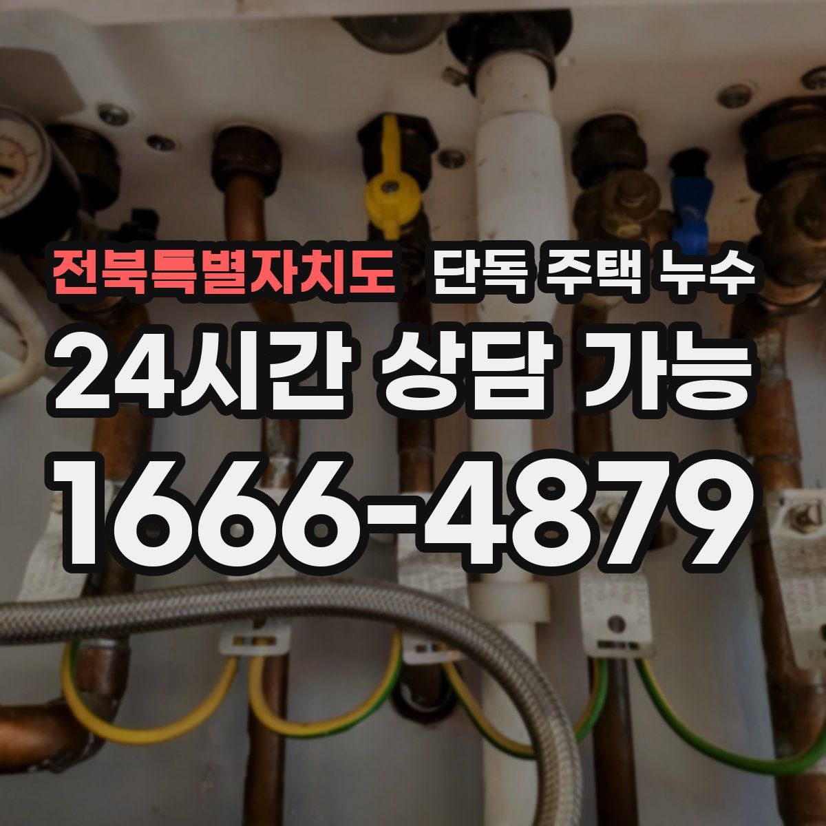 전북특별자치도 단독 주택 누수