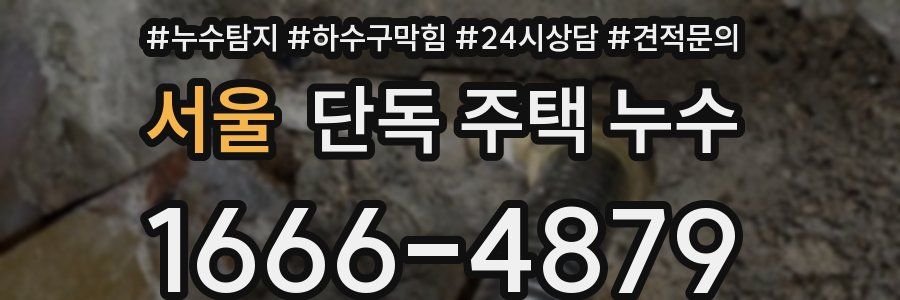 서울 단독 주택 누수