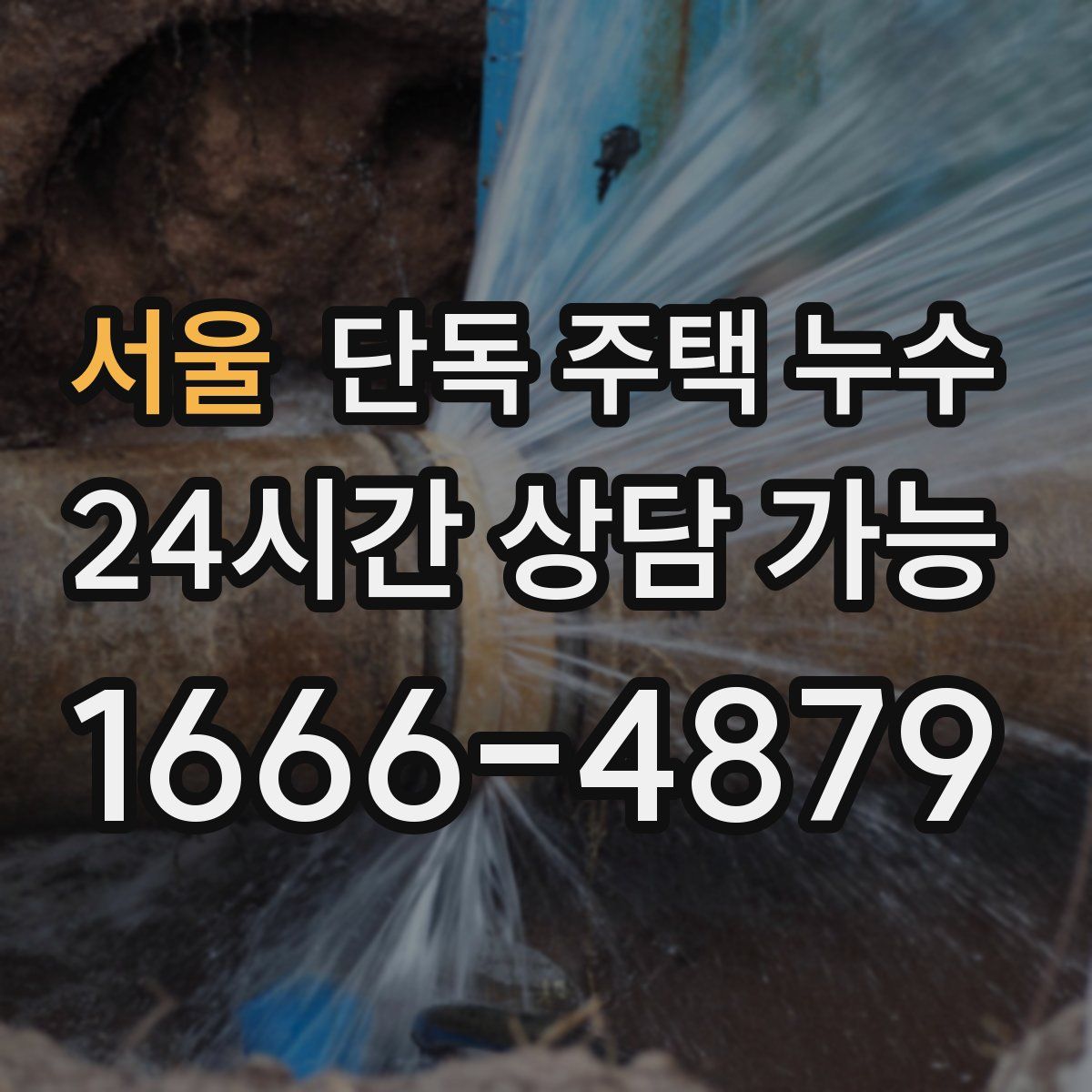 서울 단독 주택 누수